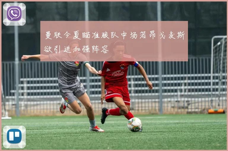 曼联今夏瞄准狼队中场若昂戈麦斯欲引进加强阵容