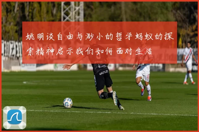 姚明谈自由与渺小的哲学蚂蚁的探索精神启示我们如何面对生活